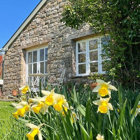 The Billiard Room - Cosy Country Retreat 阿伯加文尼 外观 照片