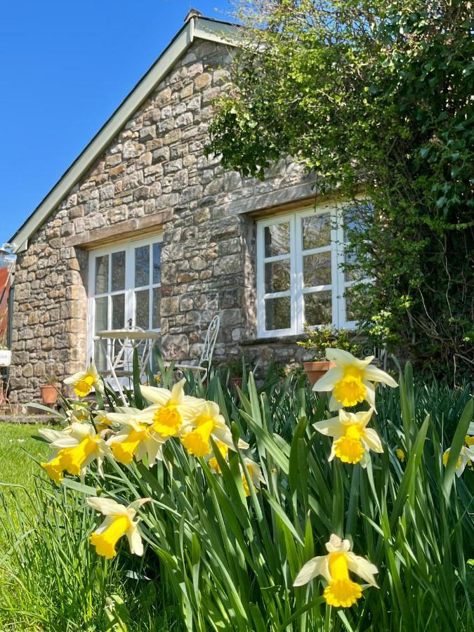 The Billiard Room - Cosy Country Retreat 阿伯加文尼 外观 照片